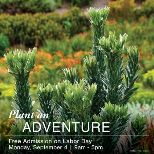 Graphic: Plant an Adventure! Free Admission on Labor Day