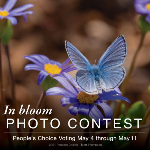 VBG22_Photo_Contest_Voting_Web