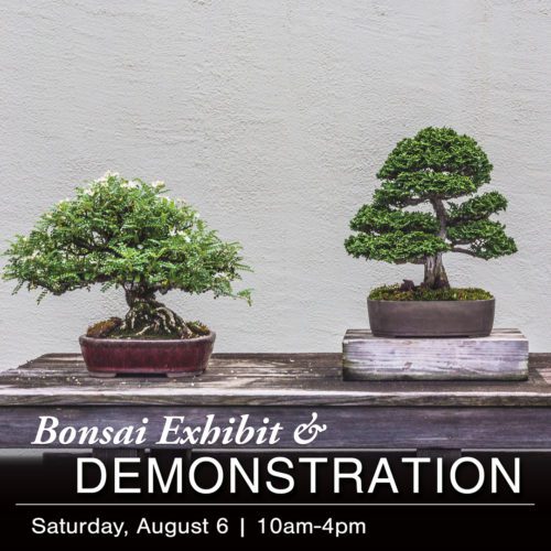 VBG22_Bonsai_Exhibit_Demonstration_IG