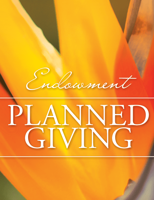 Graphic: Endowment – Planned Giving; text on closeup image of orange flower