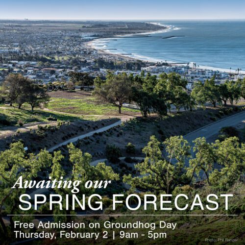 Text: 'Awaiting our Spring Forecast', Background: Image of the Ventura Botanical Gardens overlooking Ventura (photo: Phil Ranger)