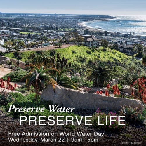 Text: 'World Water Day', Background: A lush, sunny view of Ventura from VBG (photo: Phil Ranger)