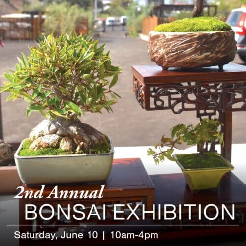 Three bonsai trees on wooden stands are displayed outdoors, promoting the "2nd Annual Bonsai Exhibition" on Saturday, June 10, from 10am to 4pm.