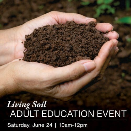 Close-up of hands holding rich brown soil. Text reads: "Living Soil Workshop ADULT EDUCATION EVENT, Saturday, June 24, 10am-12pm.