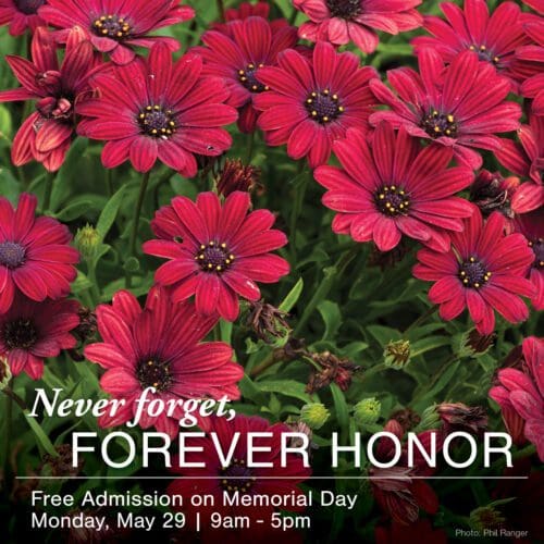 Graphic: Never Forget, Forever Honor... Free Admission on Memorial Day