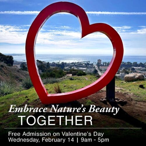 A large red heart sculpture on a hill overlooks a distant city and ocean. Text: "Embrace Nature's Beauty TOGETHER. Free Admission on Valentine's Day, Wednesday, February 14 | 9am - 5pm." Make it one of your Valentine's Day ideas!