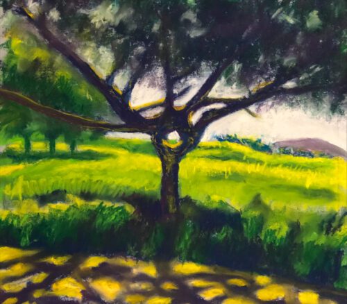 A vibrant painting by Jorge Beltran depicts a tree with spreading branches in a sunlit field, surrounded by greenery and a stone path in the foreground. The background shows distant trees and a hill.