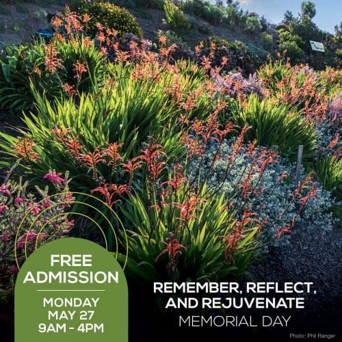 A lush garden with various plants in bloom. Text reads, "FREE ADMISSION MONDAY MAY 27 9AM-4PM. REMEMBER, REFLECT, AND REJUVENATE THIS MEMORIAL DAY." Photo credit to Phil Ranger.