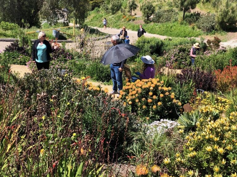 Several artists are enjoying a sunny day in a lush garden, surrounded by various colorful flowers and greenery. One person holds an umbrella for shade.