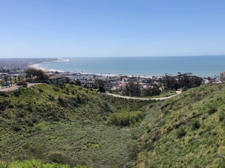 A coastal cityscape is visible from an elevated viewpoint, with green hills in the foreground and the ocean stretching out under a clear blue sky in the background, inspiring artists to capture its serene beauty.