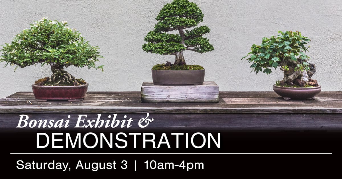 Event: 3rd Annual Bonsai Exhibit & Demonstration – Ventura Botanical ...