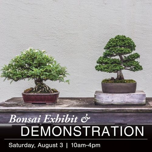 Two bonsai trees are displayed side by side with text at the bottom advertising the Annual Bonsai Exhibit and Demonstration on Saturday, August 3, from 10am to 4pm.