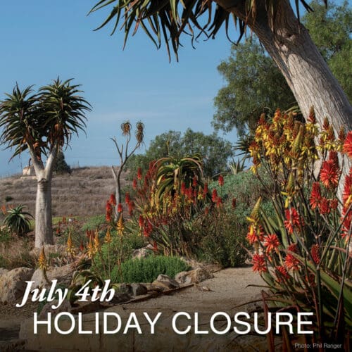 Desert landscape with various cacti and succulents. Text on the image reads "4th of July HOLIDAY CLOSURE." Photo credit: Phil Ranger.