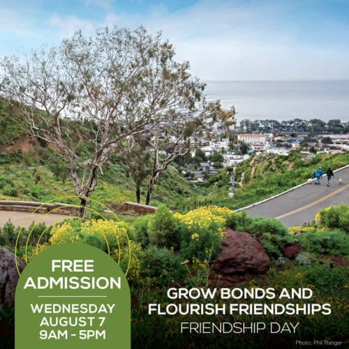 A scenic view of a hillside overlooking a town and the ocean with a Friendship Day event announcement for Wednesday, August 7, 9 AM - 5 PM, offering FREE admission.