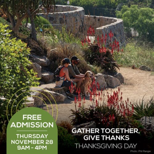 A couple with a dog sits on a stone bench in the garden. The text reads: "Thanksgiving, Free Day! Join us Thursday, November 28, 9am-4pm. Gather together, give thanks.