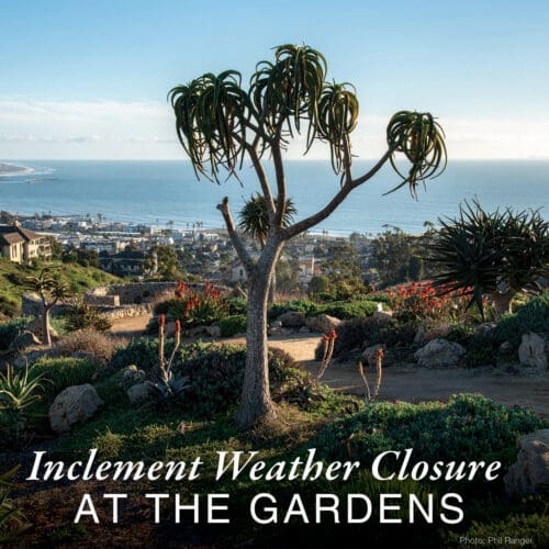 Scenic view of gardens with various plants, overlooking a coastal town and ocean. Text: "Inclement Weather Closure at The Garden's Scenic Overlook.