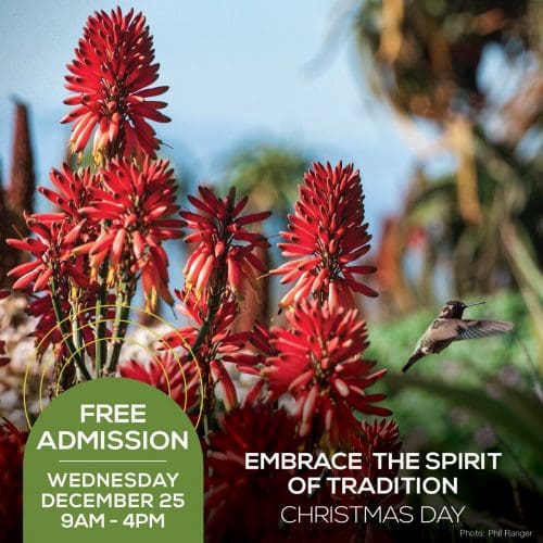 Hummingbird near red flowers, with text: Free Admission, Wednesday, December 25, 9AM - 4PM. Embrace the Spirit of Christmas Tradition on this special Day.