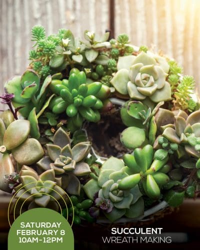 A succulent wreath is displayed, with various green plants. Text reads: Saturday February 8, 10AM-12PM, Succulent Wreath Making.