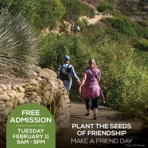 Two friends walk along a dirt path in a blossoming garden. Text on image: Free Admission Tuesday, February 11, 9 AM - 5 PM. Plant the Seeds of Friendship. Make a Friend Day.