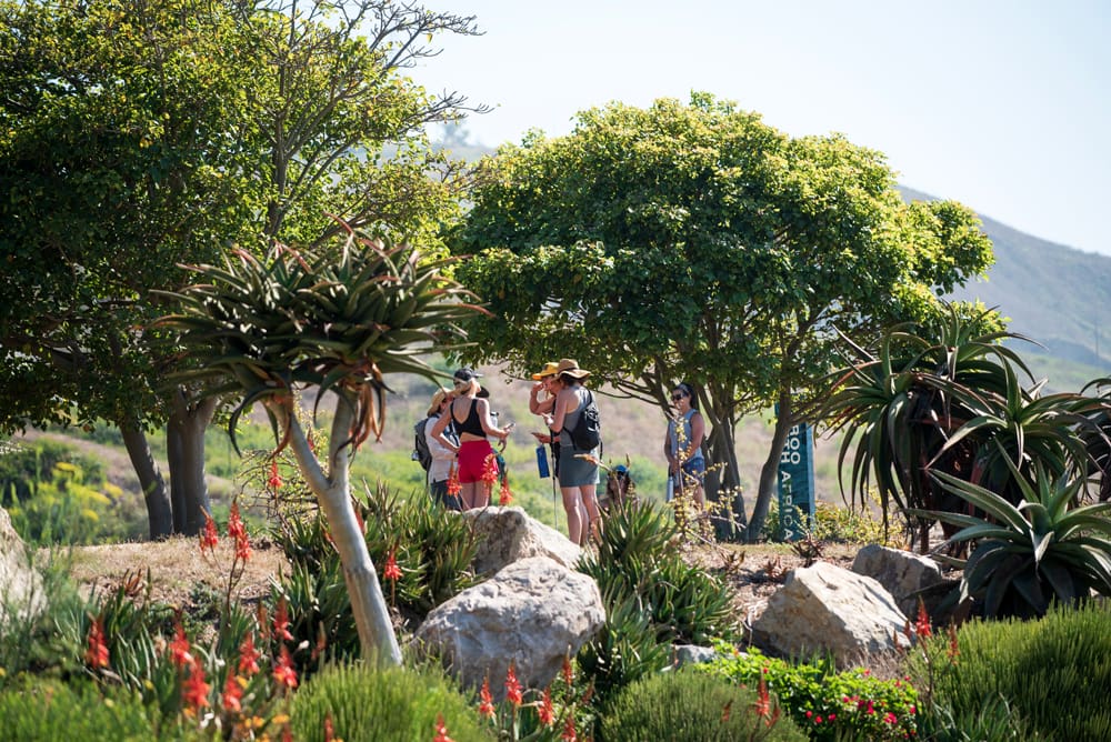 Participants gather on a grassy area surrounded by trees and rocks for the In Bloom Contest, with hills visible in the background. Some are wearing hats and athletic gear, ready to compete amidst natures scenic beauty.