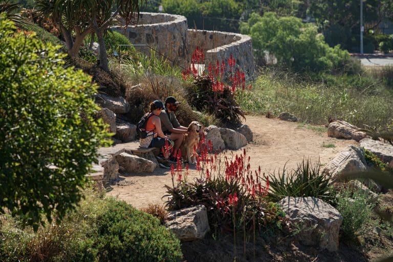 Two people sit on stone steps, enveloped by red flowers and greenery in a park thats truly in bloom. A dog keeps them company as pathways meander through the trees in the background.