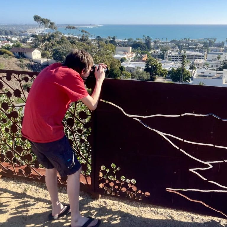 Person in a red shirt and black shorts takes a photo over a decorative metal railing towards a coastal city and ocean, capturing the picturesque views for the In Bloom Contest.