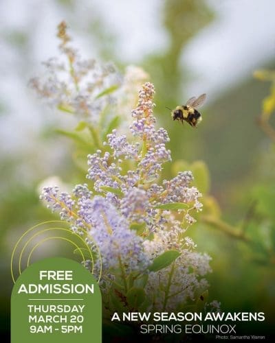 A bee hovers near a flowering plant. Text reads Free Day Admission Thursday, March 20, 9AM - 5PM: A New Season Awakens with the Spring Equinox.