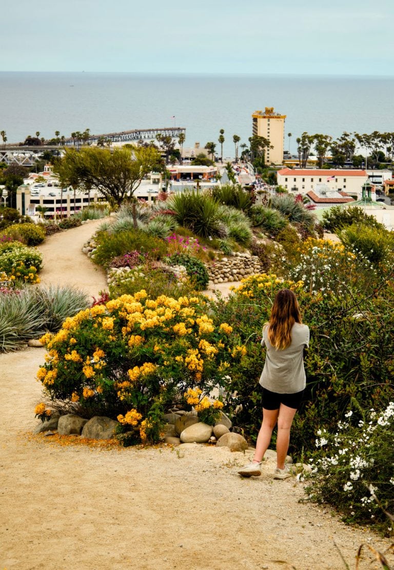 A woman admiring colorful blooming flowers at Ventura Botanical Gardens during In Bloom Contest.