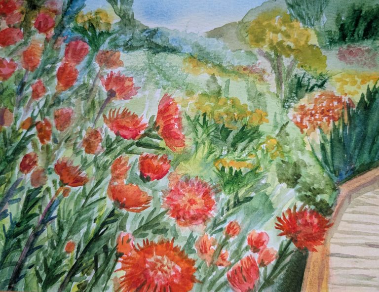 A lush garden scene at Ventura Botanical Gardens with vibrant red and orange flowers.