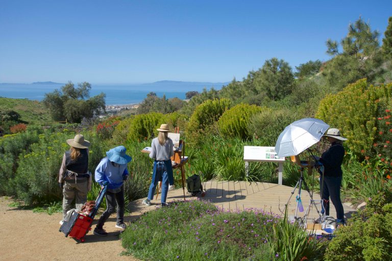 Ventura Botanical Gardens plein air painters capturing scenic landscape during outdoor art event.
