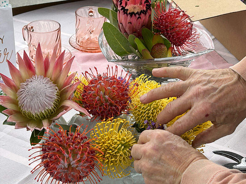 VBG_FlowerShow_2026_ProteaHeads